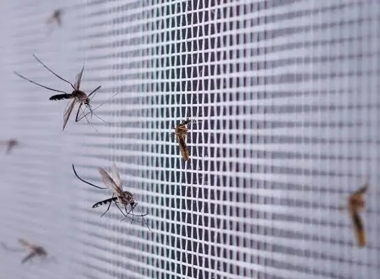 Mosquito net installation for windows and doors